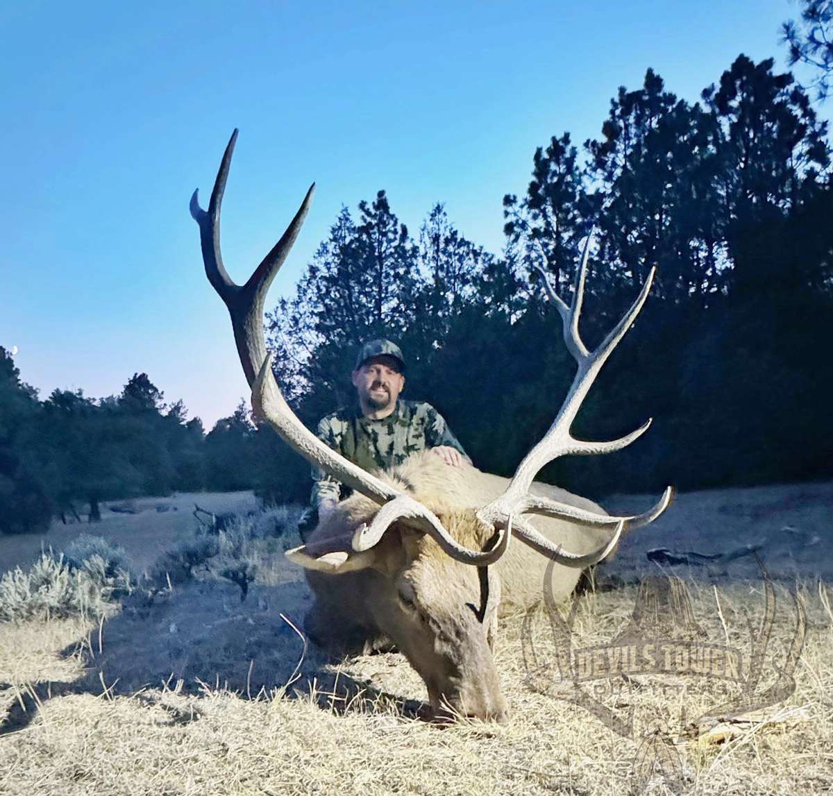 Elk Hunting Season Dates & Pricing 