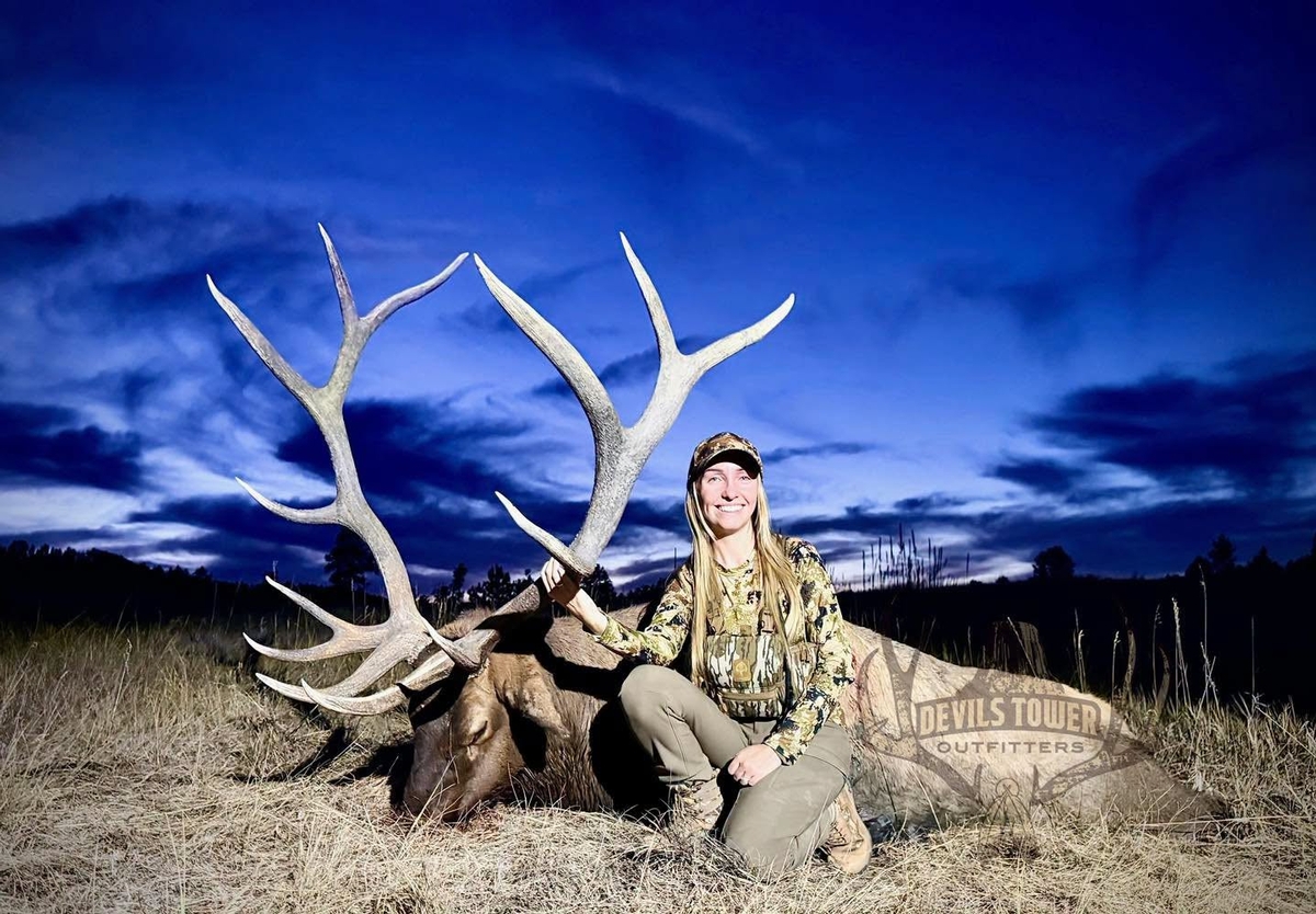 Elk Hunting Season Dates & Pricing