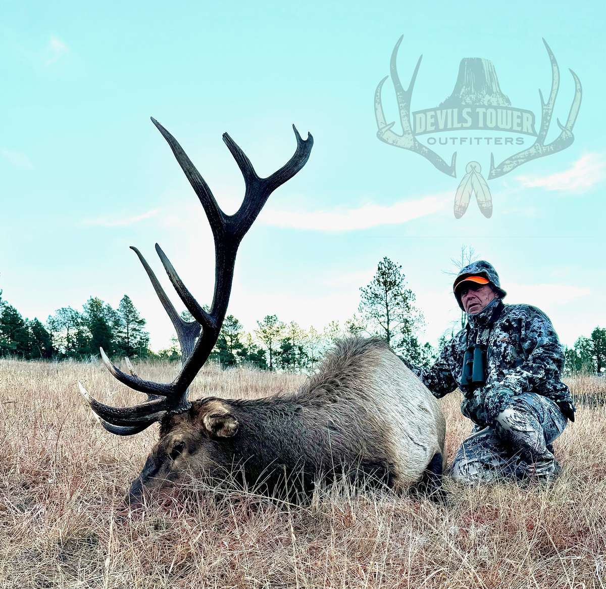 What to Expect For Your Wyoming Elk Hunt